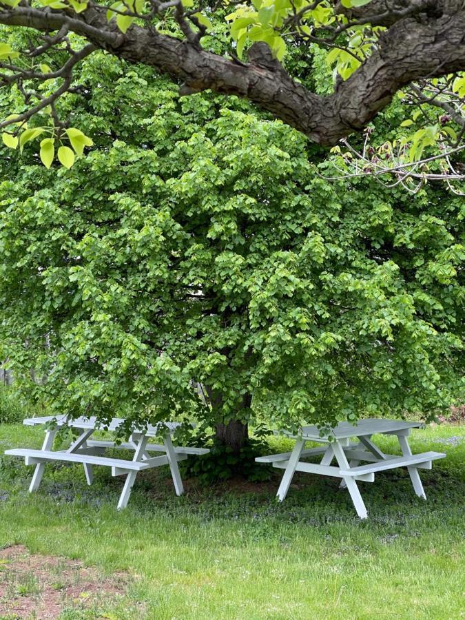 Anna'S Bed & Breakfast Niagara Bagian luar foto