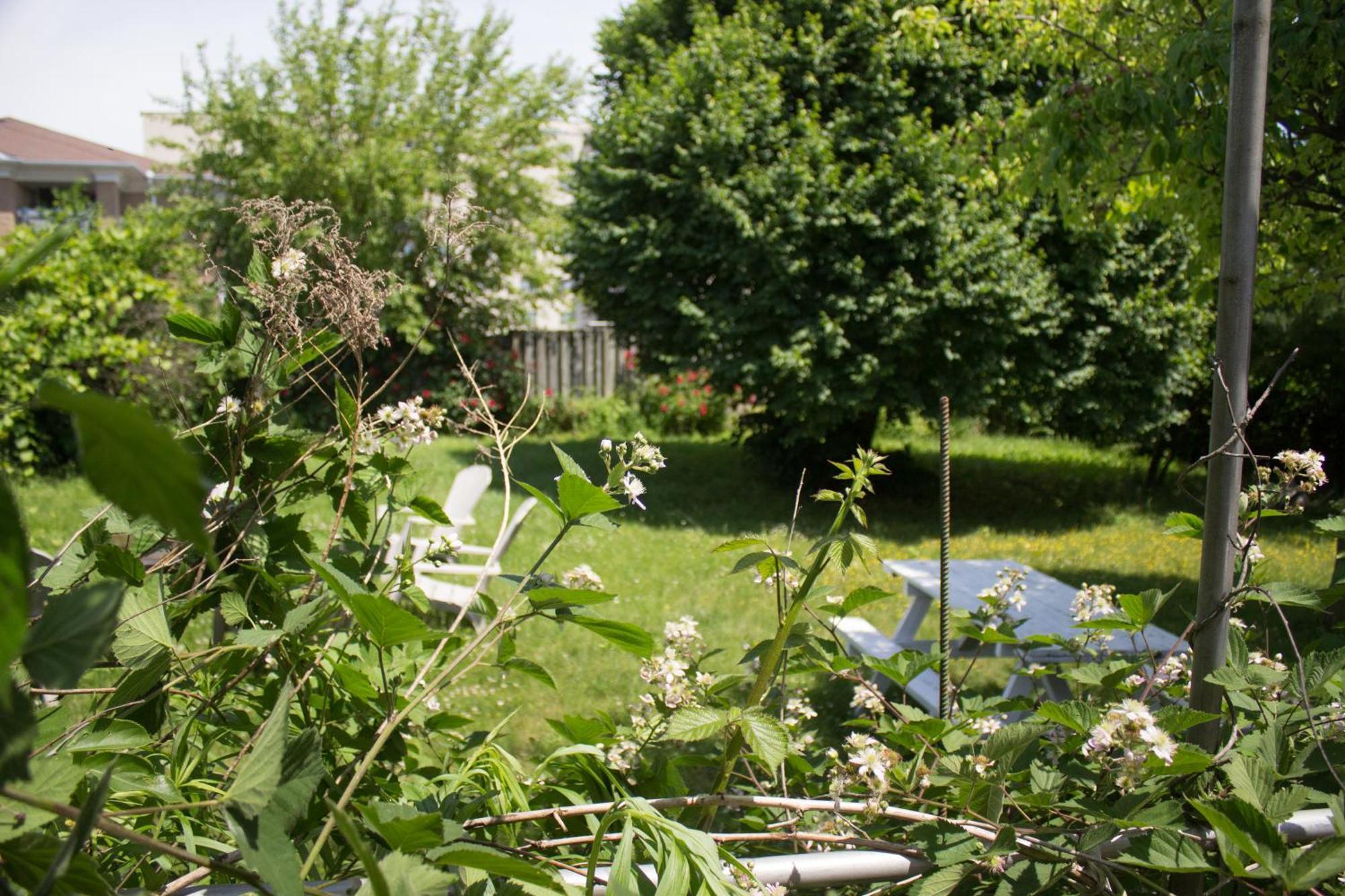 Anna'S Bed & Breakfast Niagara Bagian luar foto